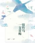 一支青梅情竹马全文目录